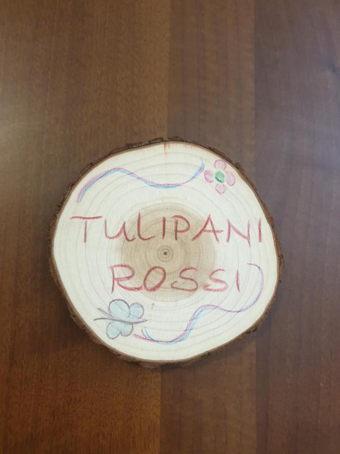 Appartamento I Tulipani. Camera I Tulipani Rossi Барберино-ди- Муджелло Экстерьер фото